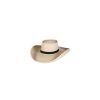 Mens Hats * | Best Sellers Sam Houston Hat